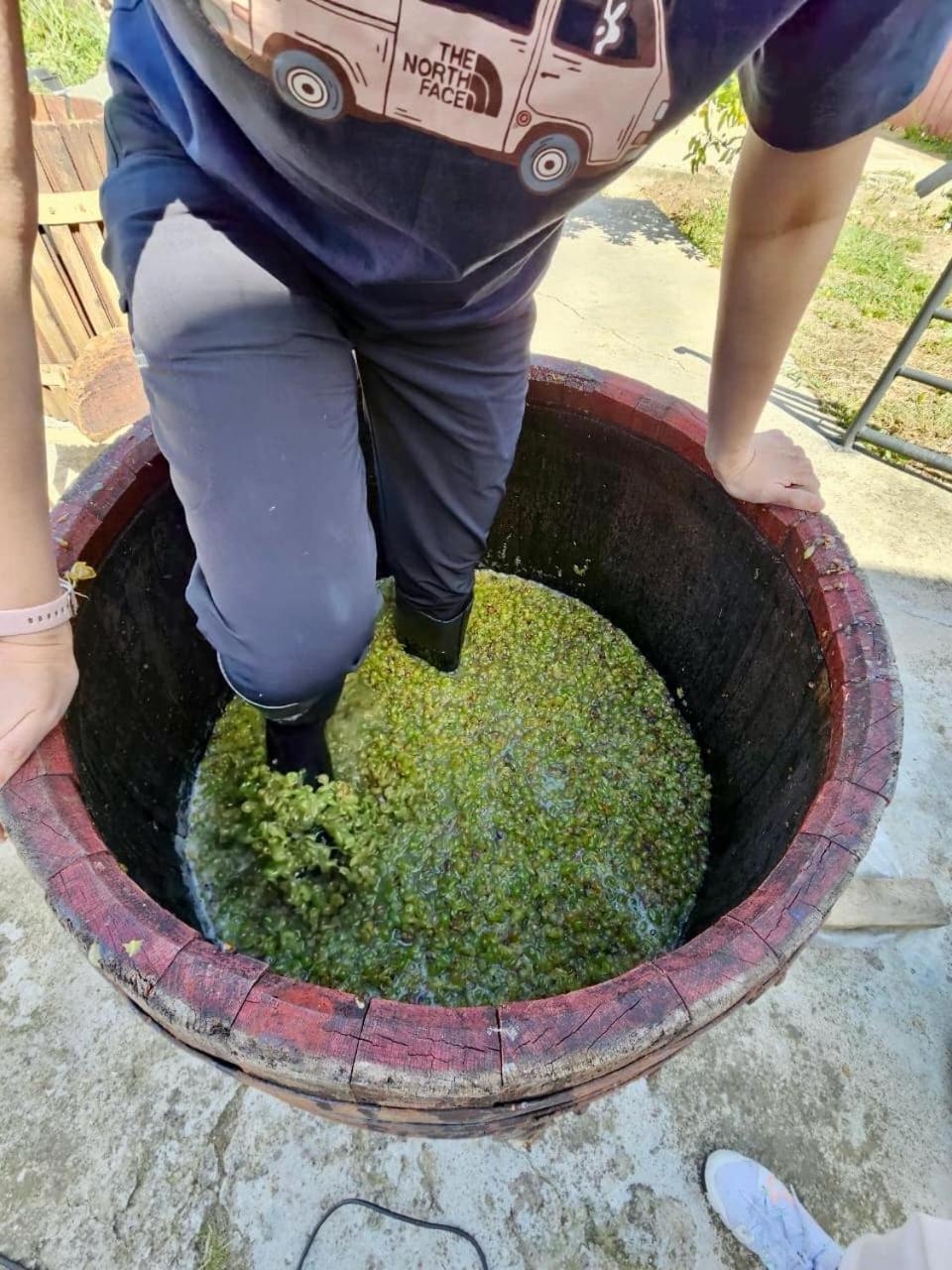 Guesthause Bagdati المظهر الخارجي الصورة